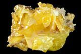 Orange Wulfenite and Botryoidal Mimetite - La Morita Mine, Mexico #170316-1